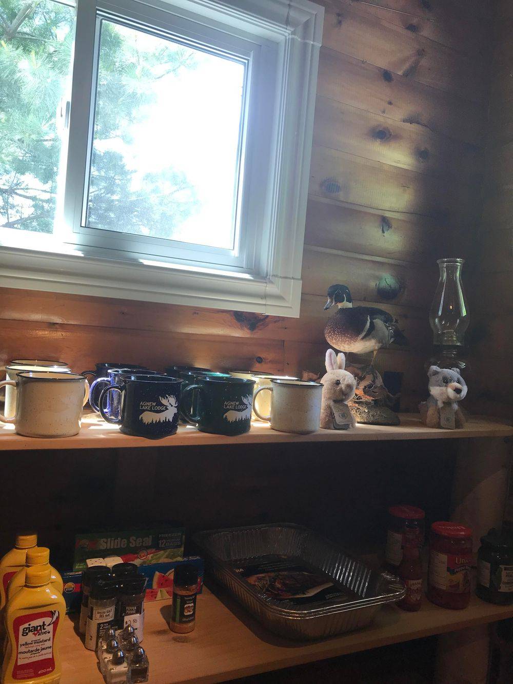 Forfaits de chasse à l'ours noir — Agnew Lake Lodge – Agnew Lake Lodge