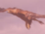 bgImage
