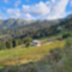 original?tenant=vbu-digital