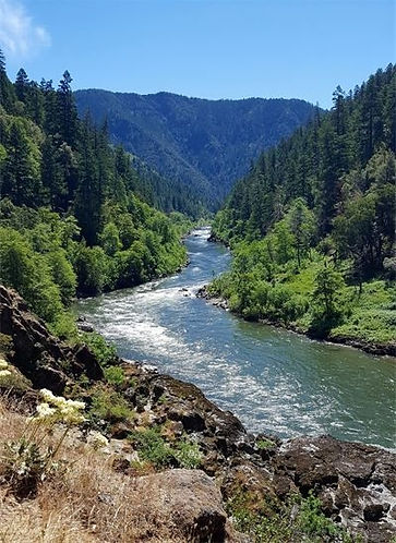 original?tenant=vbu-digital