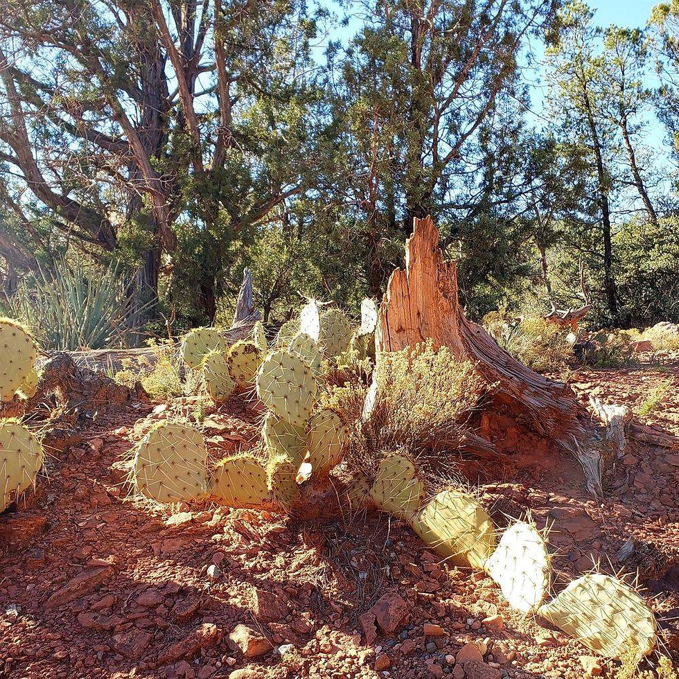 Sedona AZ USA