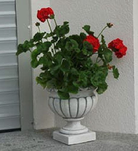 Blumenvase (S104081)