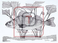 original?tenant=vbu-digital