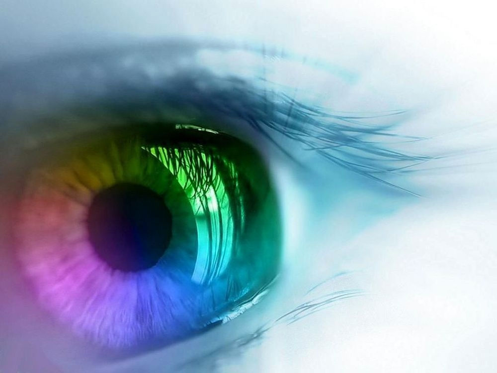 Séance Correction de vision