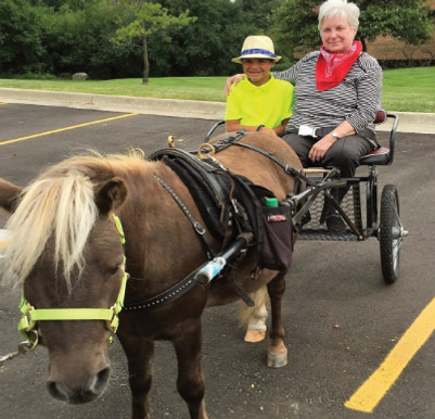 Pony giving children pony cart rides
