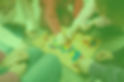 bgImage.jpg