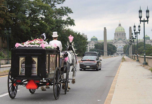 Harrisburg Funeral Horses, horses for funeral harrisburg