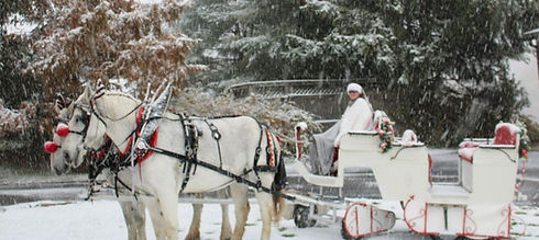 Sleigh rides in Pa