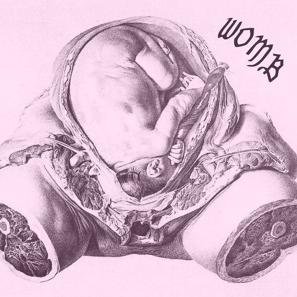 original?tenant=vbu-digital