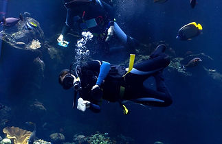 scuba diving project success