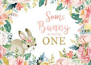 Some Bunny is One Party Backdrop