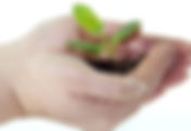Get Ready, Get Set, Grow!