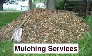 pile of bush mulch