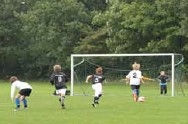 Miniaturbild: Jugendfußballtornetz 5 x 2 x 0,80 x 1,50 m PP 3 mm