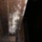 Mold inspection and testing