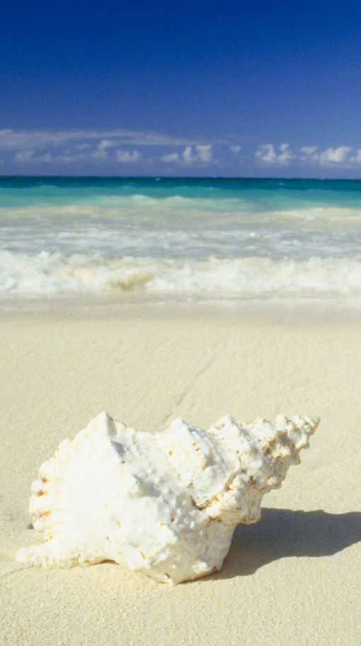 5dca3b74516ea34ee69c9f88ad4a1250