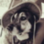 original?tenant=vbu-digital