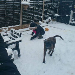 original?tenant=vbu-digital