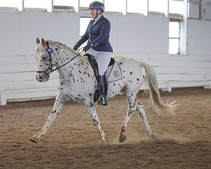 Pyx dressage