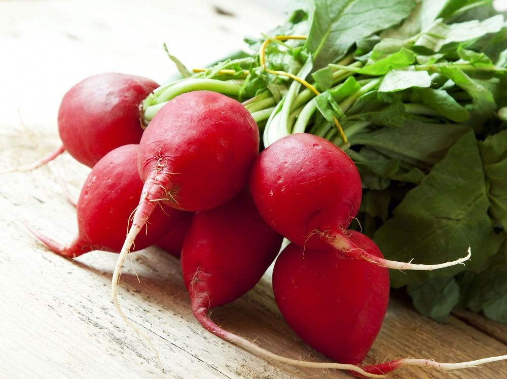 Fascetto di ravanelli