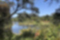 haunted Pinto Lake, Watsonville, CA