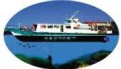 Discover the marine world in Kefalonia, Greece by taking a glass bottom boat cruise!.  View the sea bed, watch fish, take photos under water, visit ancient ship wrecks, swim, snorkel, dive & play volleyball.