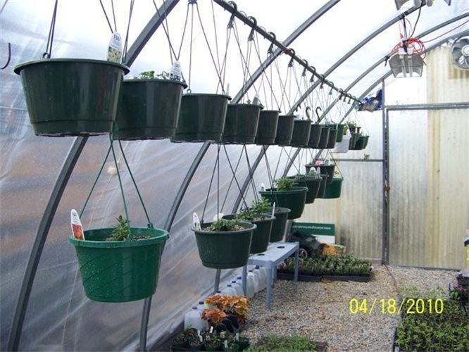 original?tenant=vbu-digital