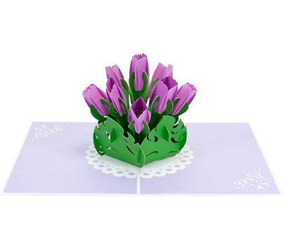 Tulip (Purple)