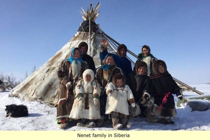 Famille Nenet du Pole Nord. Non blanchie par le froid