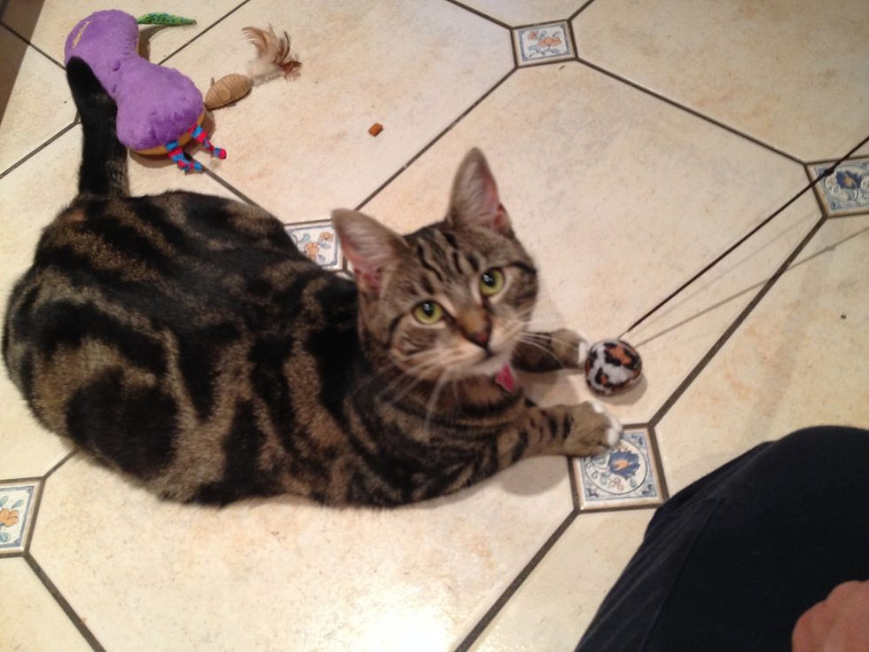 original?tenant=vbu-digital