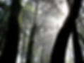 Mount Madonna haunted ghost