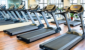 Treadmills lined up