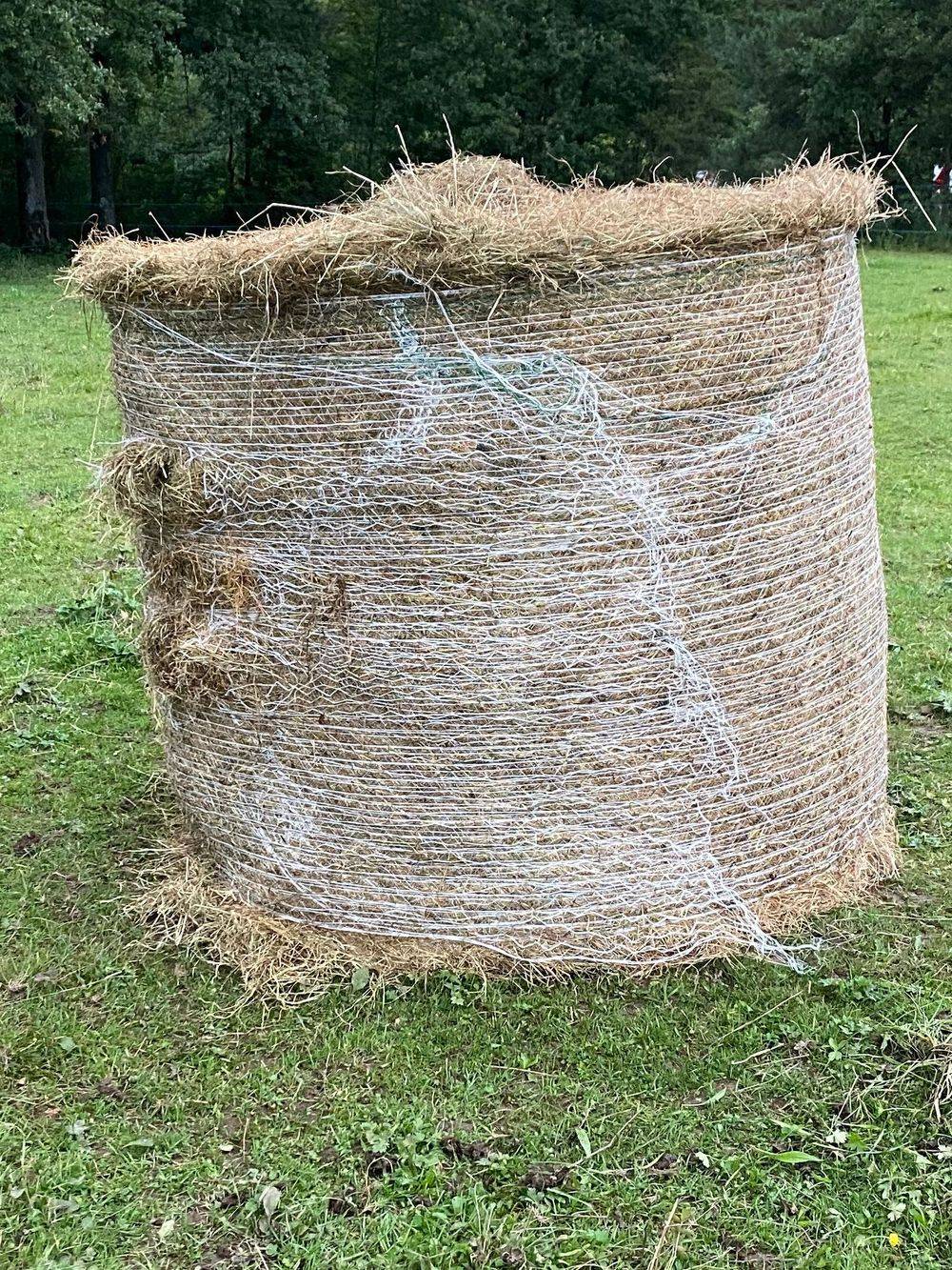 Les chevaux nourris au foin pendant l'été sec