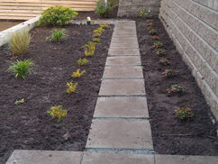 SOFTSCAPE & PLANTING langley