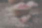 bgImage.jpg