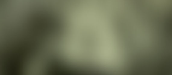 "To remember times past, I took a trip down memory lane - literally..."