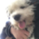 original?tenant=vbu-digital