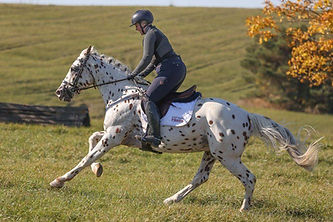 Pyx endurance
