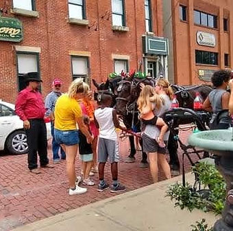 pittsburgh carriage ride