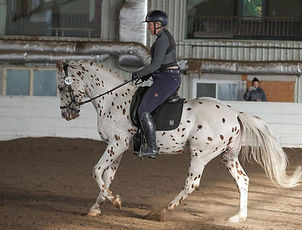 Pyx dressage
