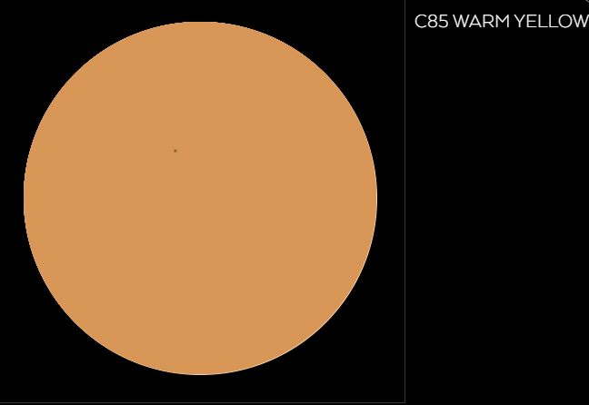 C 85