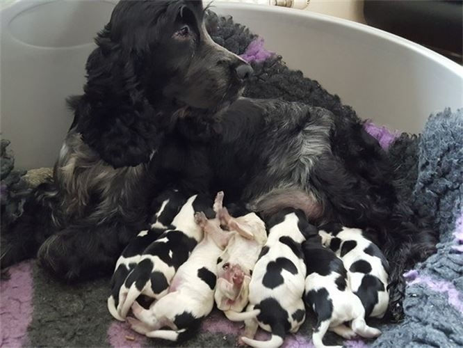 original?tenant=vbu-digital