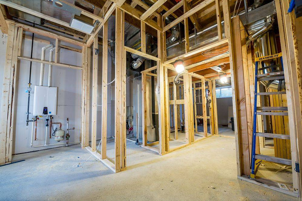 hallway and mechanical room, closet to hide water on demand system