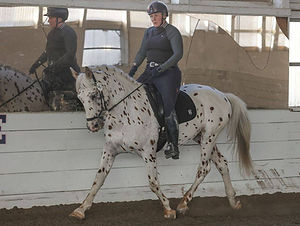 Pyx dressage