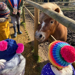 original?tenant=vbu-digital