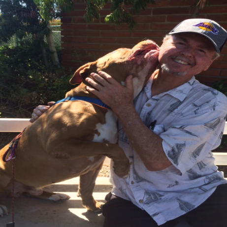 I am irresistible to dogs