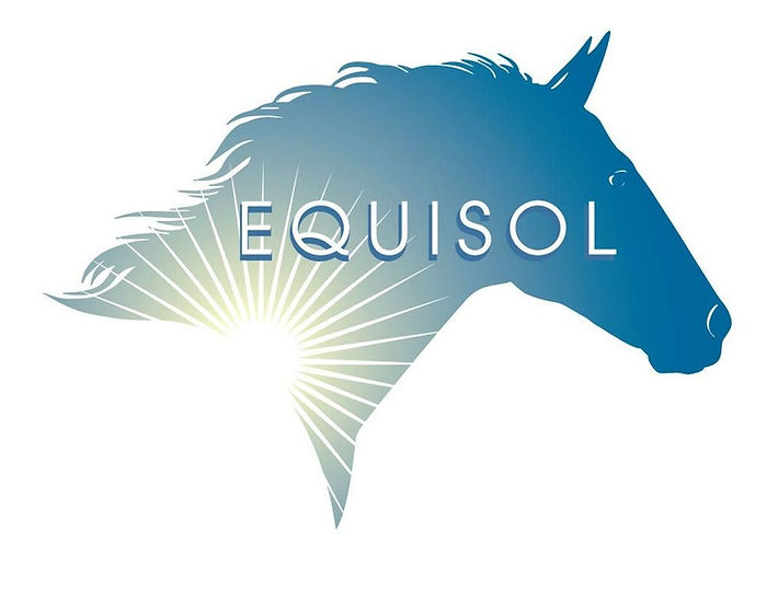 Equisol Adaptive Horsemanship logo