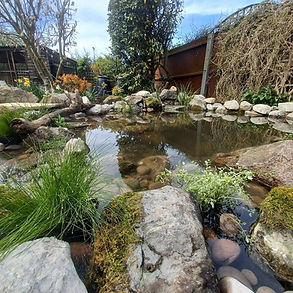 garden wildlife pond