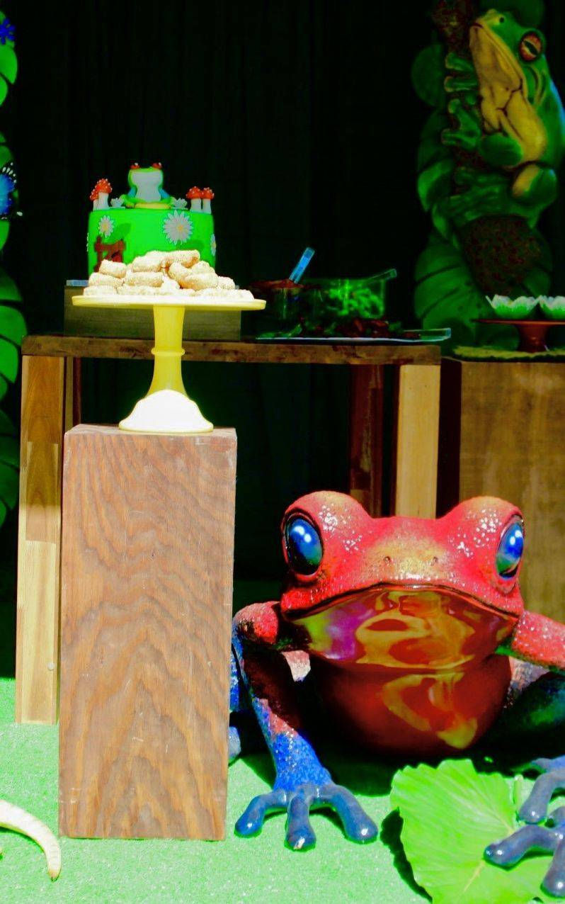 Giant frog statue prop rental, reptile statue prop rental, insect reptile theme party, bugs life party