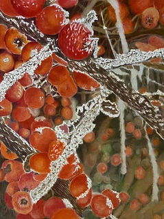 Helen L Thomas - Flora and Fauna
